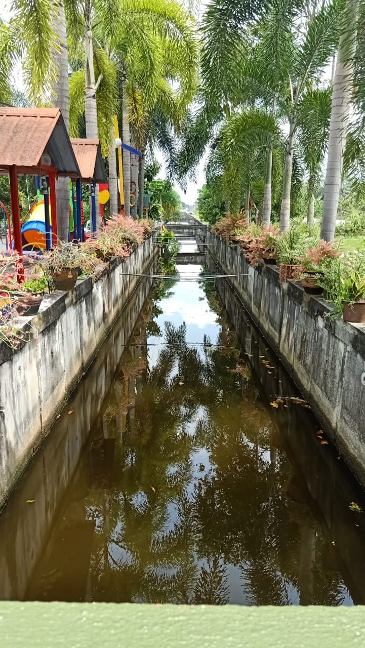 335029179_1253757288681066_2764552007985596574_n